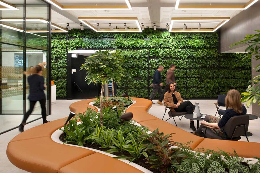 Biophilic Design là gì? Các mô hình thiết kế sinh thái hiện nay 5 biophilic design khac voi viec dua cay xanh vao nha