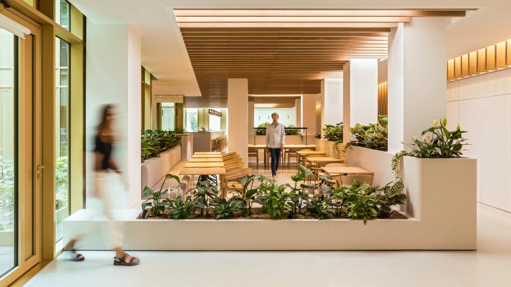 Biophilic Design là gì? Các mô hình thiết kế sinh thái hiện nay 3 cac mo hinh biophilic design pho bien